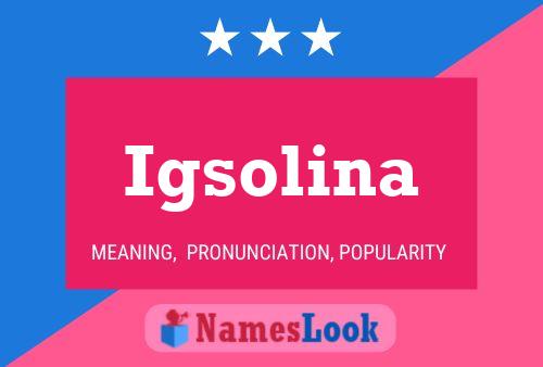 Igsolina Naam Poster