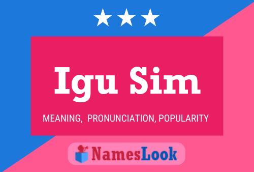 Igu Sim Naam Poster