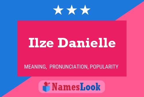 Ilze Danielle Naam Poster