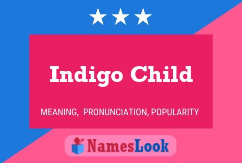 Indigo Child Naam Poster