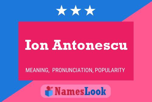 Ion Antonescu Naam Poster