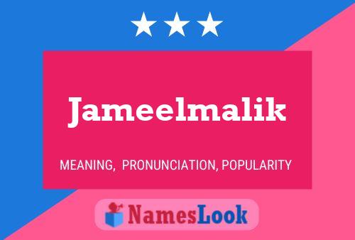 Jameelmalik Naam Poster