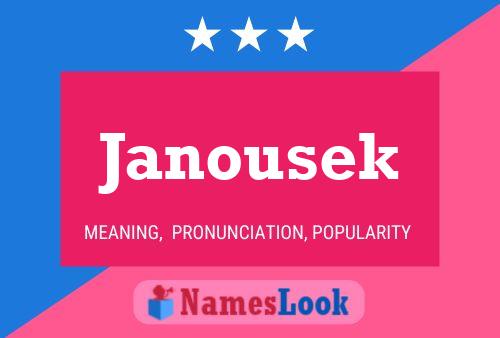 Janousek Naam Poster