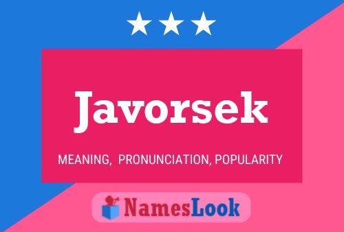 Javorsek Naam Poster