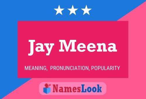 Jay Meena Naam Poster