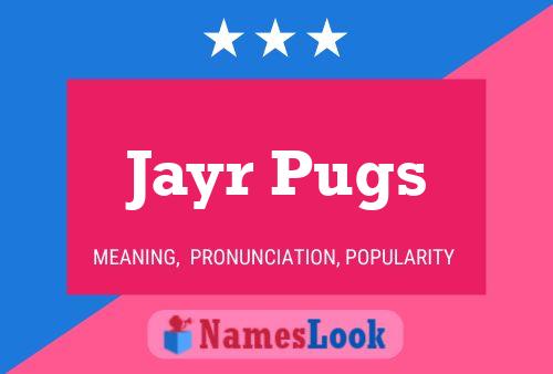 Jayr Pugs Naam Poster