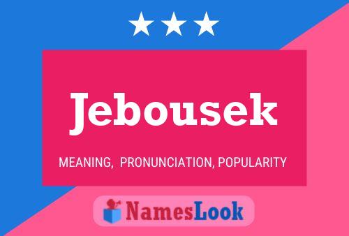 Jebousek Naam Poster