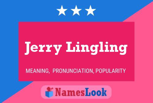 Jerry Lingling Naam Poster