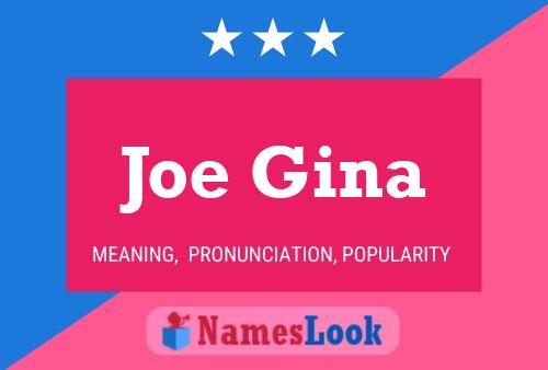 Joe Gina Naam Poster