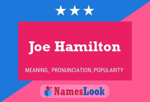 Joe Hamilton Naam Poster