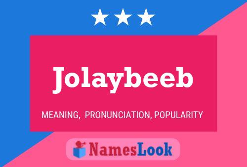 Jolaybeeb Naam Poster