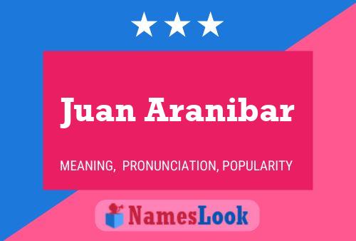 Juan Aranibar Naam Poster