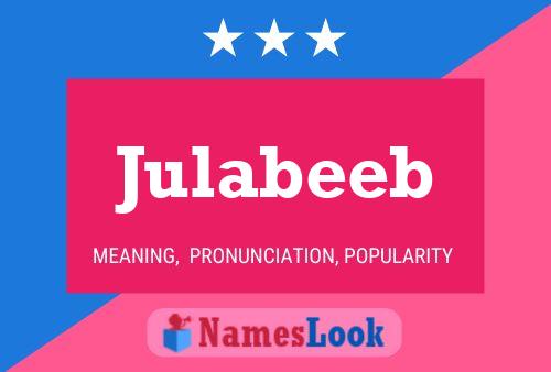 Julabeeb Naam Poster