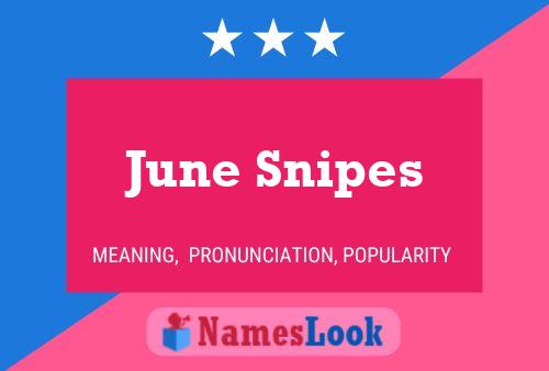 June Snipes Naam Poster