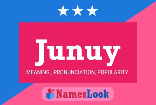 Junuy Naam Poster