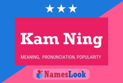 Kam Ning Naam Poster