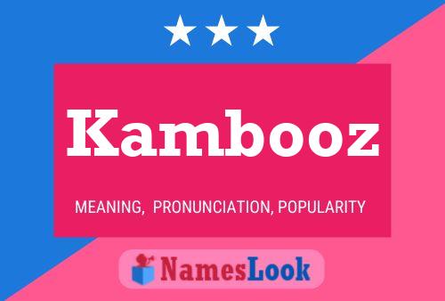 Kambooz Naam Poster