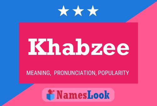 Khabzee Naam Poster