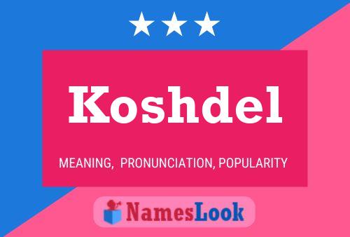 Koshdel Naam Poster