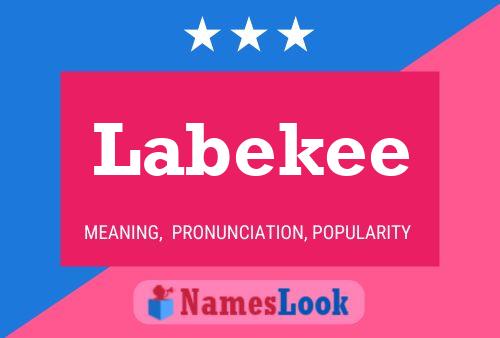 Labekee Naam Poster