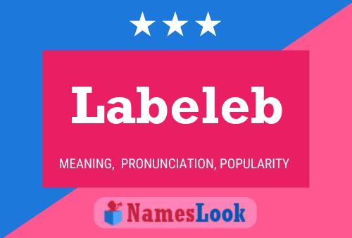 Labeleb Naam Poster