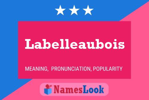 Labelleaubois Naam Poster