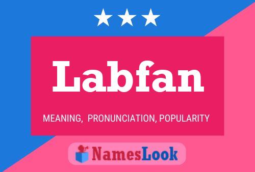 Labfan Naam Poster