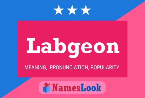 Labgeon Naam Poster