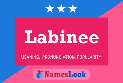 Labinee Naam Poster