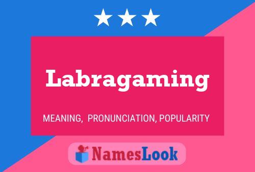 Labragaming Naam Poster