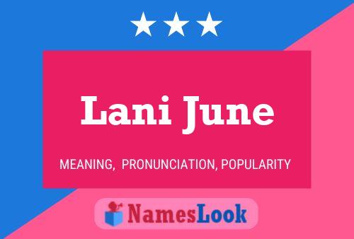 Lani June Naam Poster