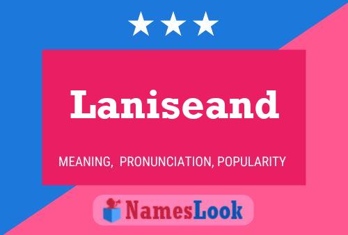 Laniseand Naam Poster