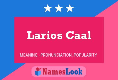 Larios Caal Naam Poster