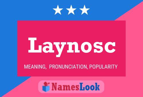 Laynosc Naam Poster