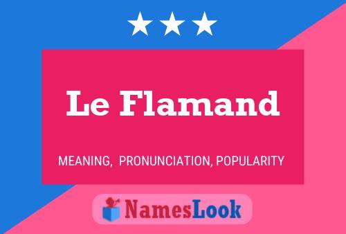 Le Flamand Naam Poster