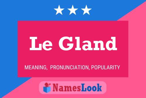 Le Gland Naam Poster