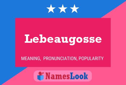 Lebeaugosse Naam Poster