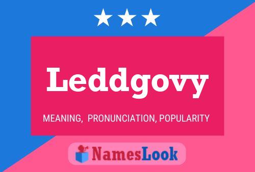 Leddgovy Naam Poster