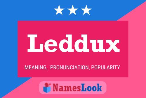 Leddux Naam Poster