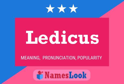 Ledicus Naam Poster