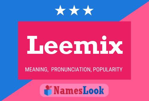 Leemix Naam Poster