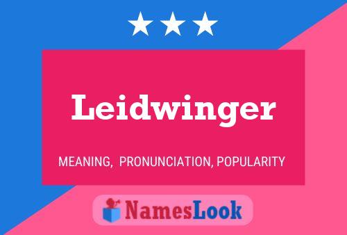 Leidwinger Naam Poster