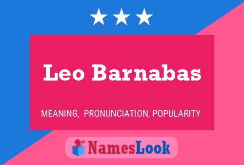 Leo Barnabas Naam Poster