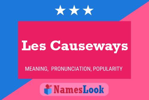 Les Causeways Naam Poster