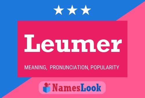 Leumer Naam Poster