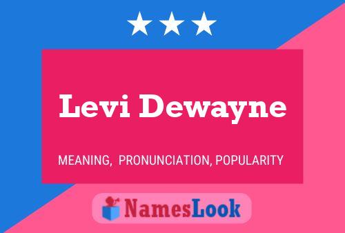 Levi Dewayne Naam Poster