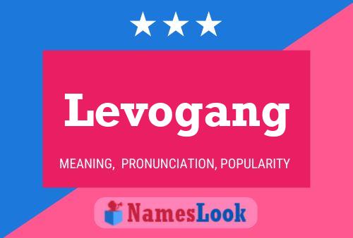 Levogang Naam Poster