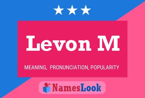 Levon M Naam Poster