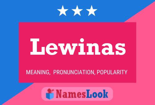 Lewinas Naam Poster