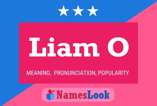 Liam O Naam Poster